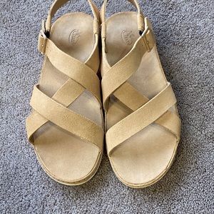 Chaco Wayfarer sandal New in box